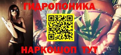 ешки Бердск