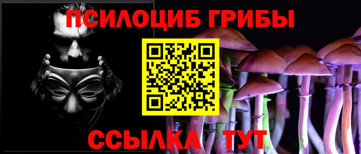 Галлюциногенные грибы Magic Shrooms Великие Луки