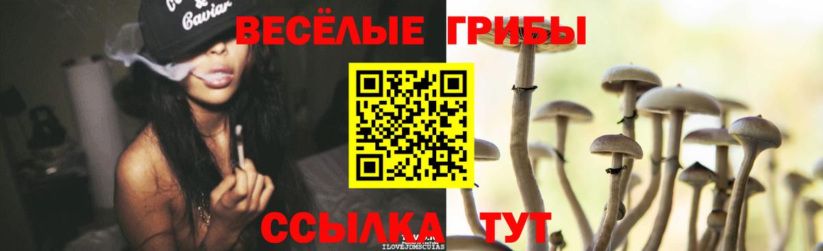 Псилоцибиновые грибы MAGIC MUSHROOMS  что такое   Псилоцибиновые грибы Psilocybine cubensis  Великие Луки  Вход с VPN 